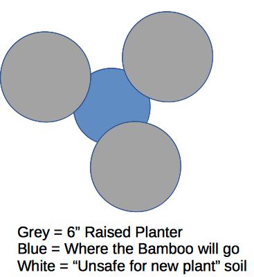 bamboo-in-the-middle.jpg